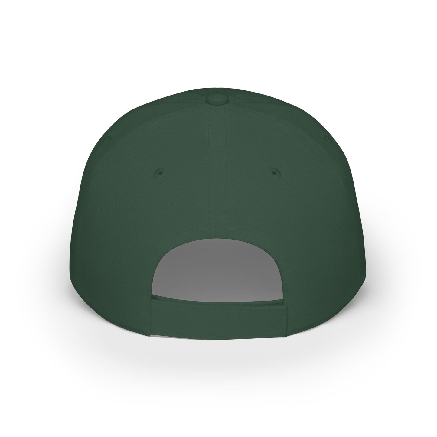 Printed "Bitchtastic Tees" Low Profile Baseball Cap — Retro Script Logo Hat