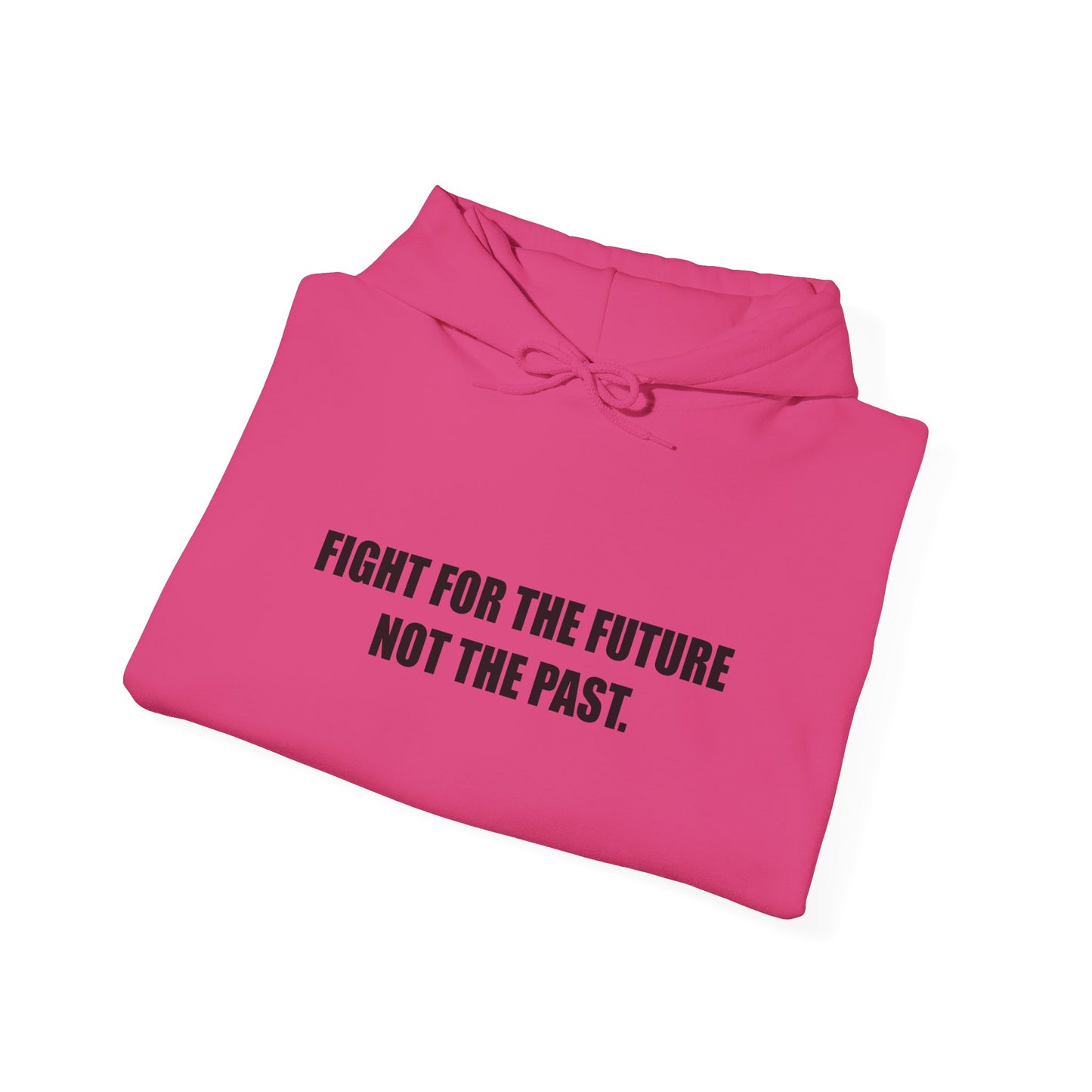 Hoodie — "Fight for the Future Not the Past" Motivational Slogan Hoodie